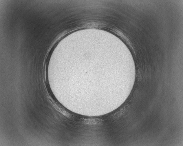 X0000081571227200702121413