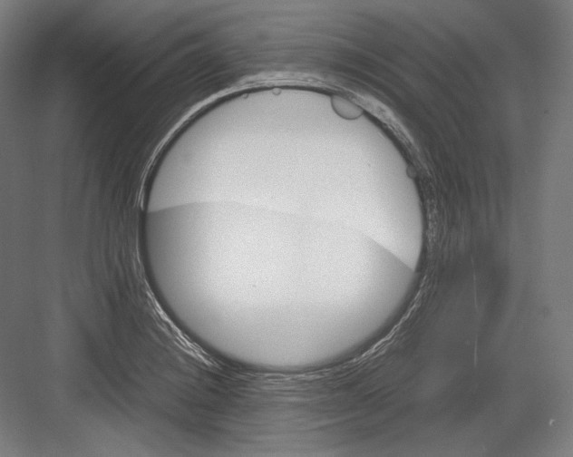 X0000081571228200702121413