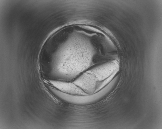 X0000081571230200702121413