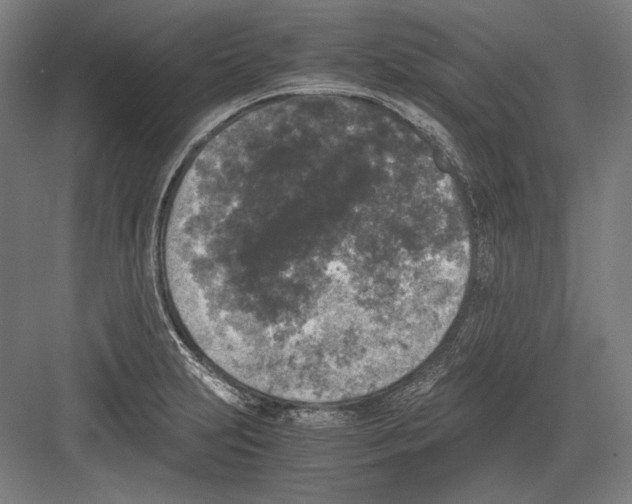 X0000081571231200702121413