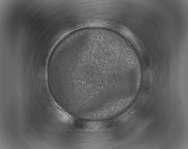 X0000081571232200702121413