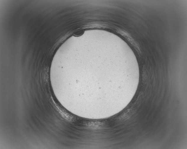 X0000081571233200702121413