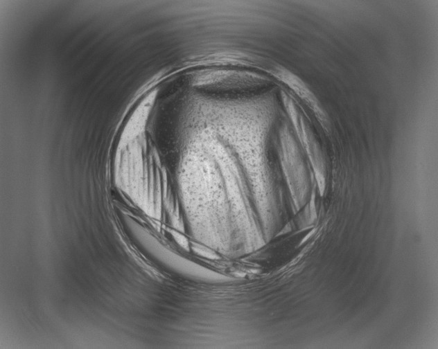 X0000081571234200702121413