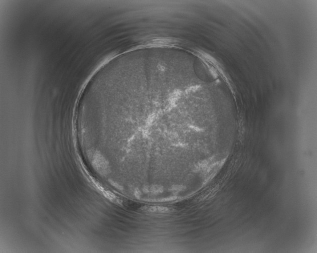 X0000081571235200702121413