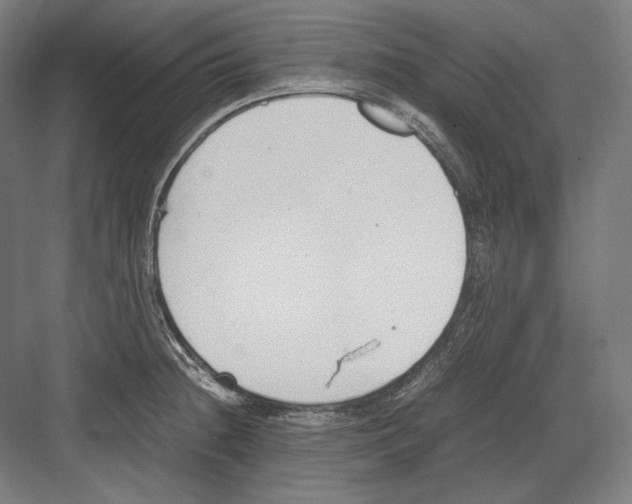 X0000081571236200702121413