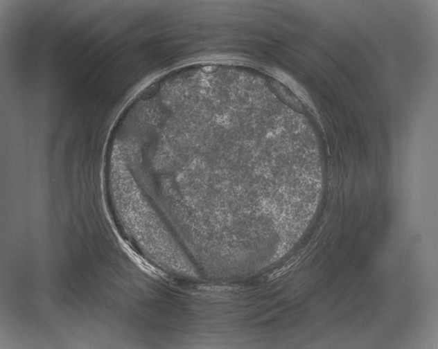 X0000081571237200702121413