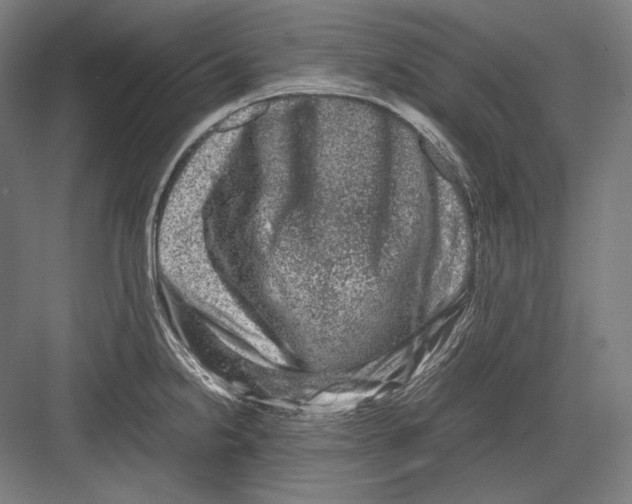 X0000081571238200702121413