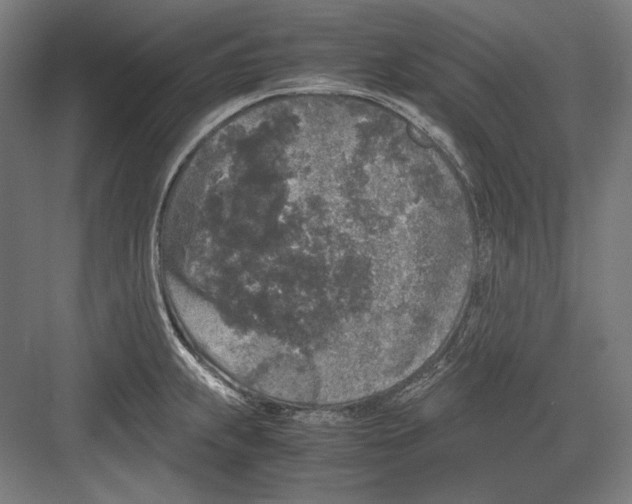 X0000081571239200702121413