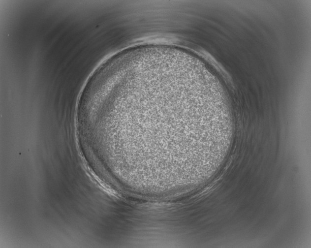 X0000081571240200702121413