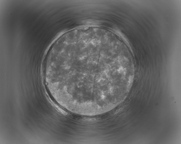 X0000081571243200702121413