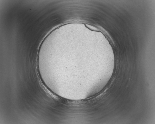 X0000081571244200702121413