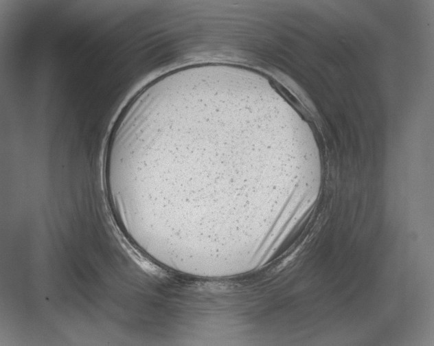 X0000081571246200702121413