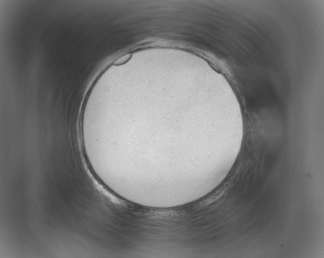 X0000081571247200702121413