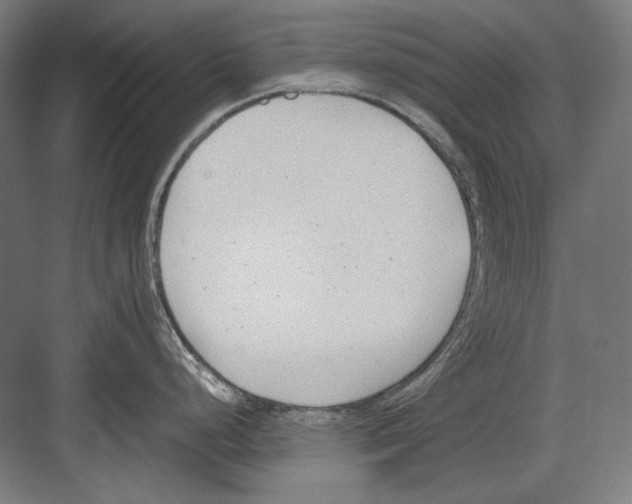 X0000081571248200702121413