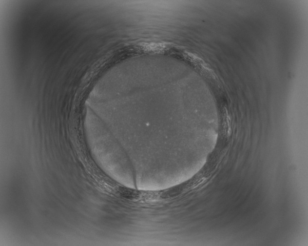 X0000081571249200702121413