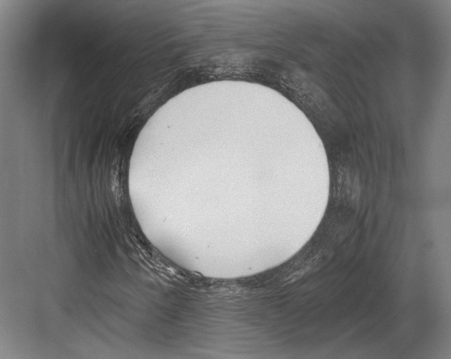 X0000081571250200702121413