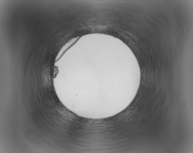 X0000081571252200702121413