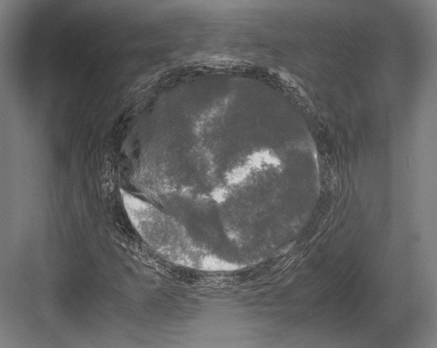 X0000081571253200702121413