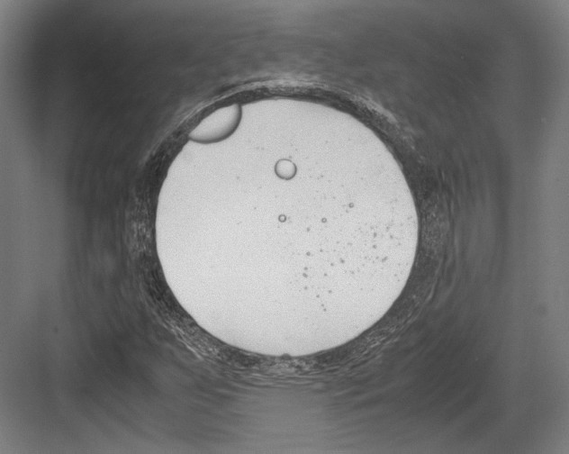 X0000081571255200702121413