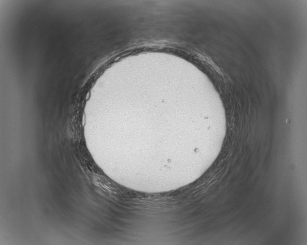 X0000081571256200702121412