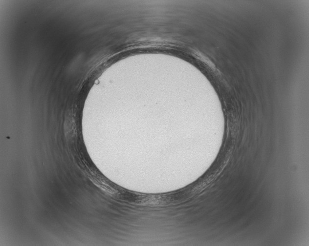 X0000081571259200702121412