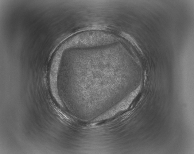 X0000081571260200702121412