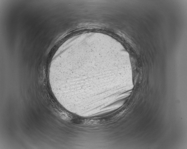 X0000081571261200702121412