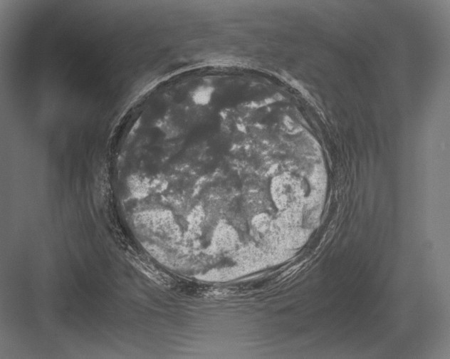 X0000081571263200702121412