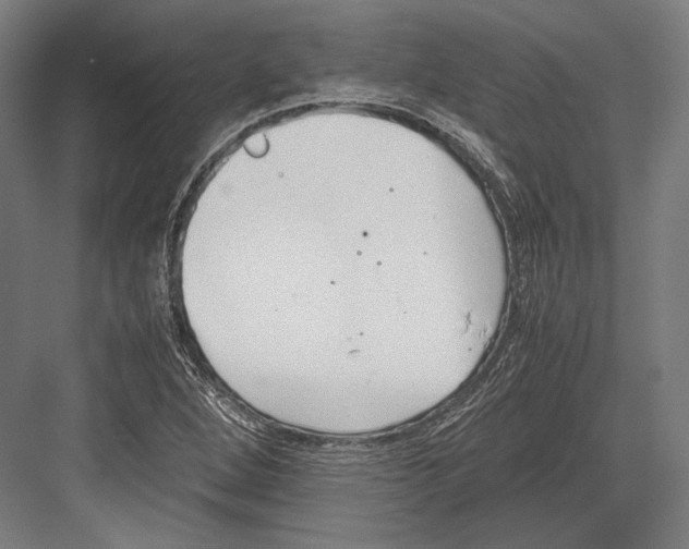 X0000081571264200702121412