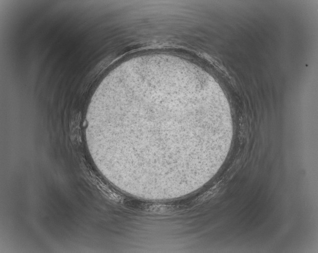 X0000081571265200702121412