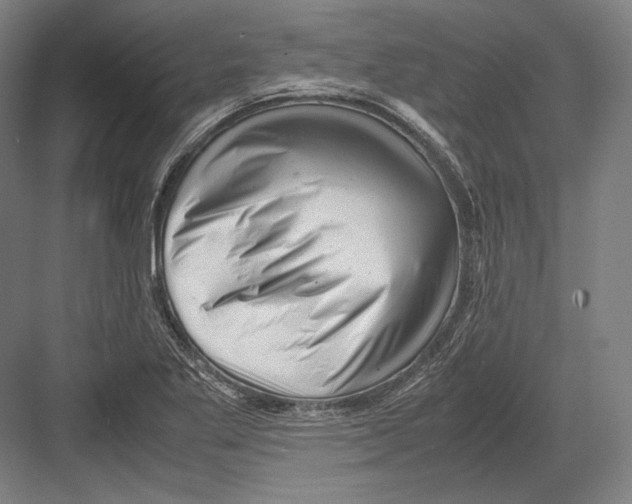 X0000081571269200702121412