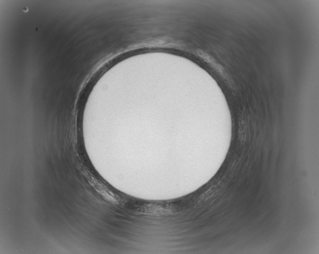 X0000081571270200702121412