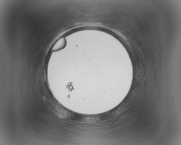 X0000081571271200702121412