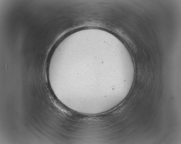 X0000081571272200702121412