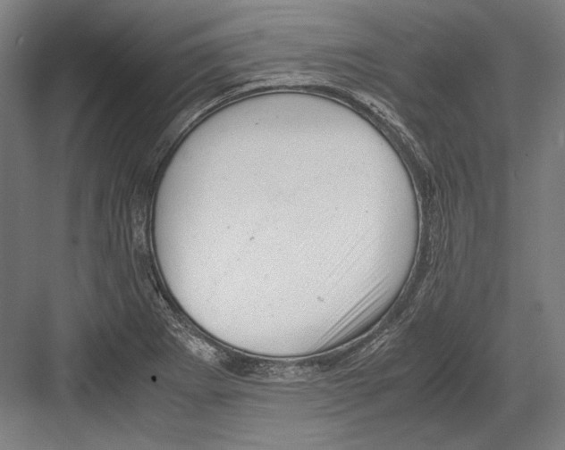 X0000081571273200702121412