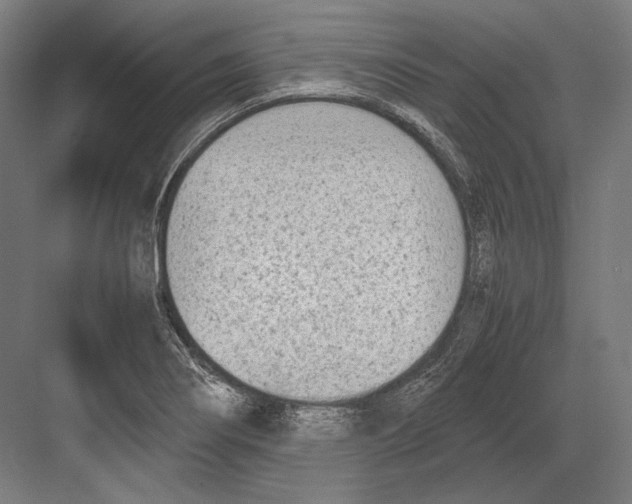 X0000081571274200702121412