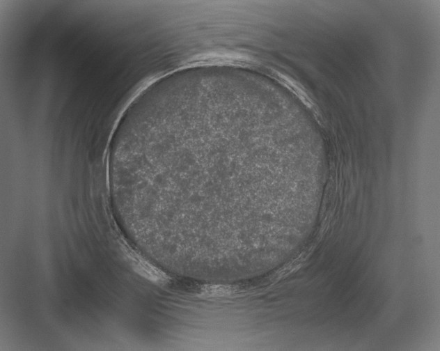 X0000081571275200702121412