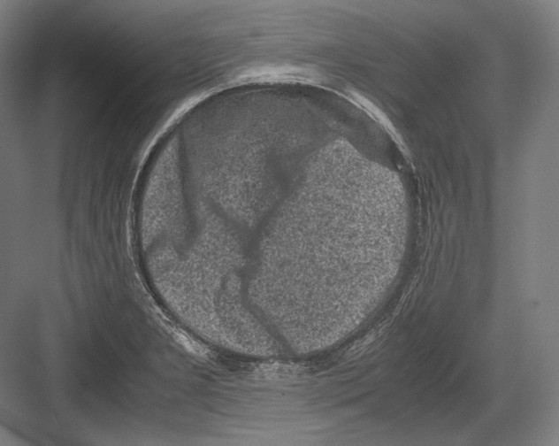 X0000081571277200702121412