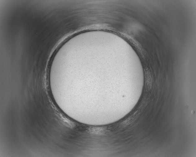 X0000081571278200702121412