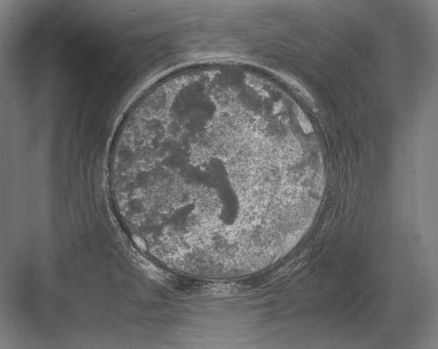 X0000081571279200702121412