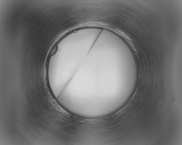 X0000081571280200702121412