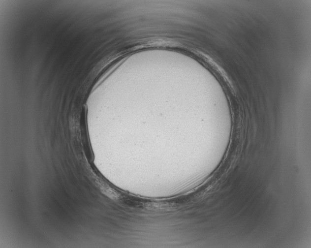 X0000081571281200702121412