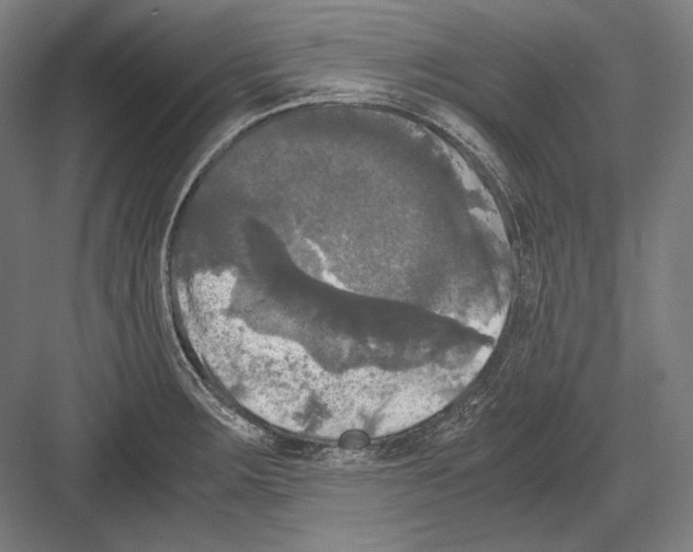 X0000081571283200702121412