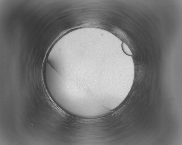 X0000081571284200702121412