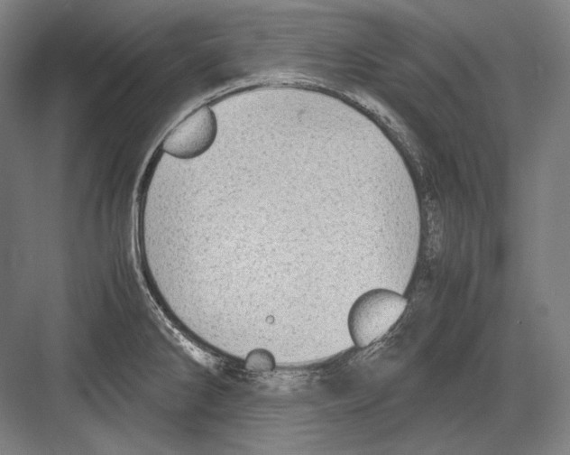 X0000081571286200702121412