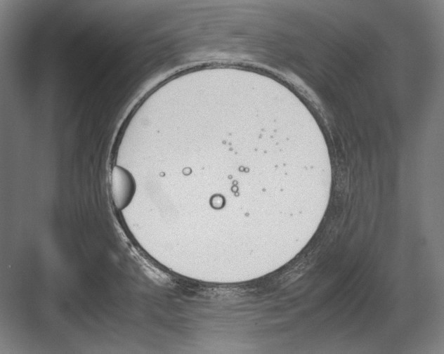 X0000081571287200702121412