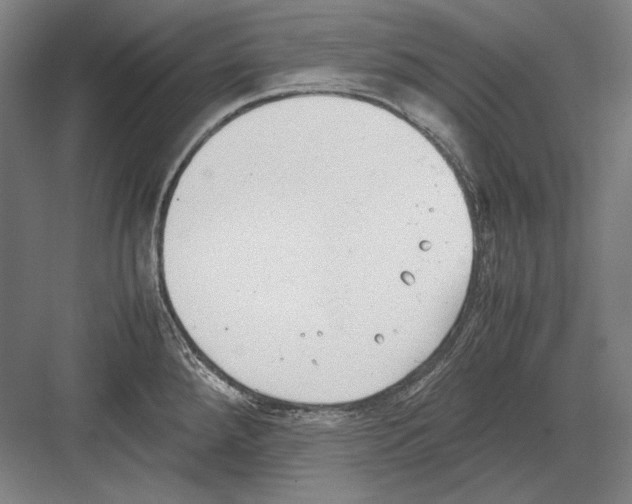 X0000081571288200702121412