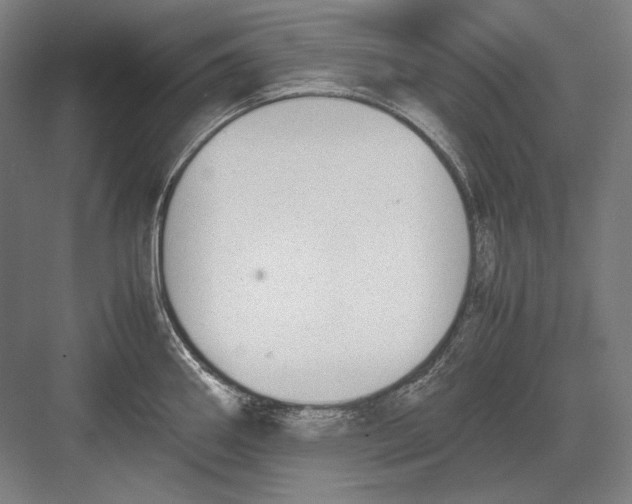 X0000081571290200702121412