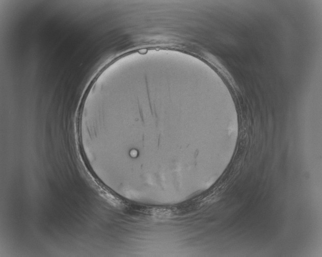 X0000081571291200702121412