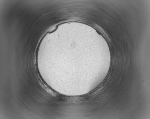 X0000081571292200702121412